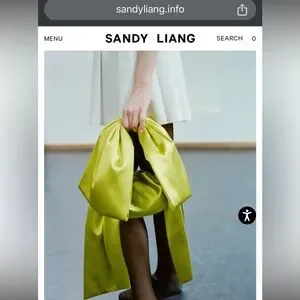 Bags | Sandy Liang Small Regalo Bag | Poshmark
